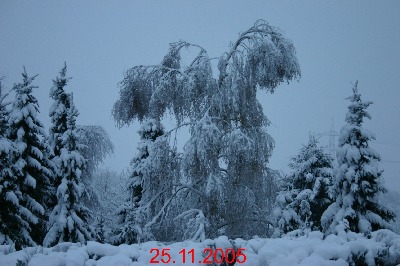 morkepütz 1
